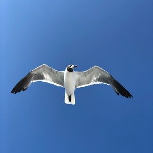 Meet your Posher, Britany